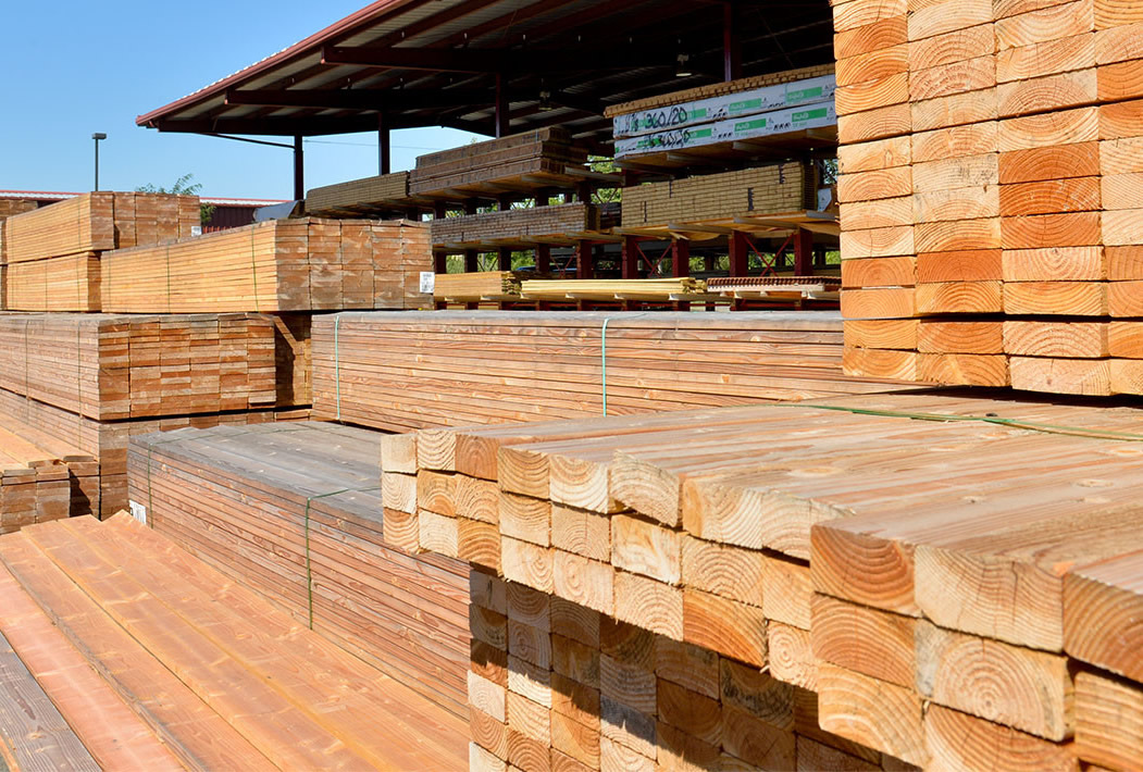 Egzotik Kereste Çeşitleri